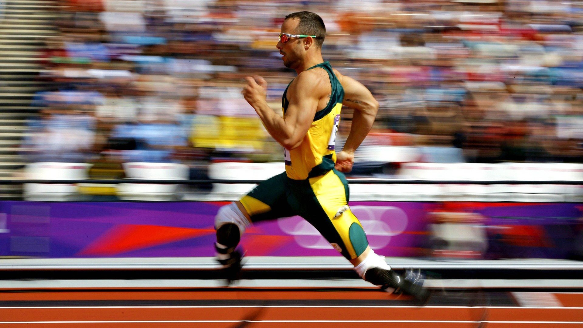 Chinese Taipei未来发展：体育与科技融合的新机遇，未来体育是台湾的吗